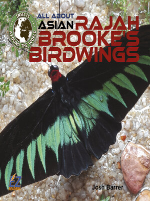 cover image of All About Asian Rajah Brooke's Birdwings